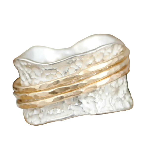 Vintage Spinner Ring in Gold and Silver